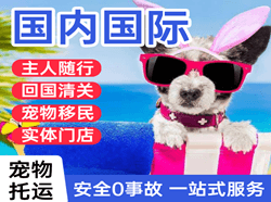临沂启阳航空快递国际宠物托运 【国